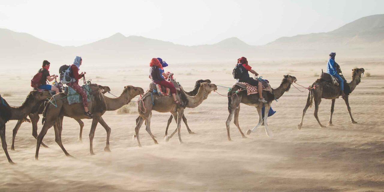 Camels Still Ideal for Crossing Desert Terrain